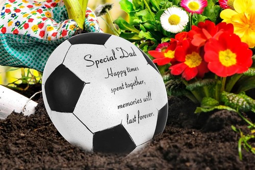 David fischhoff special - david,